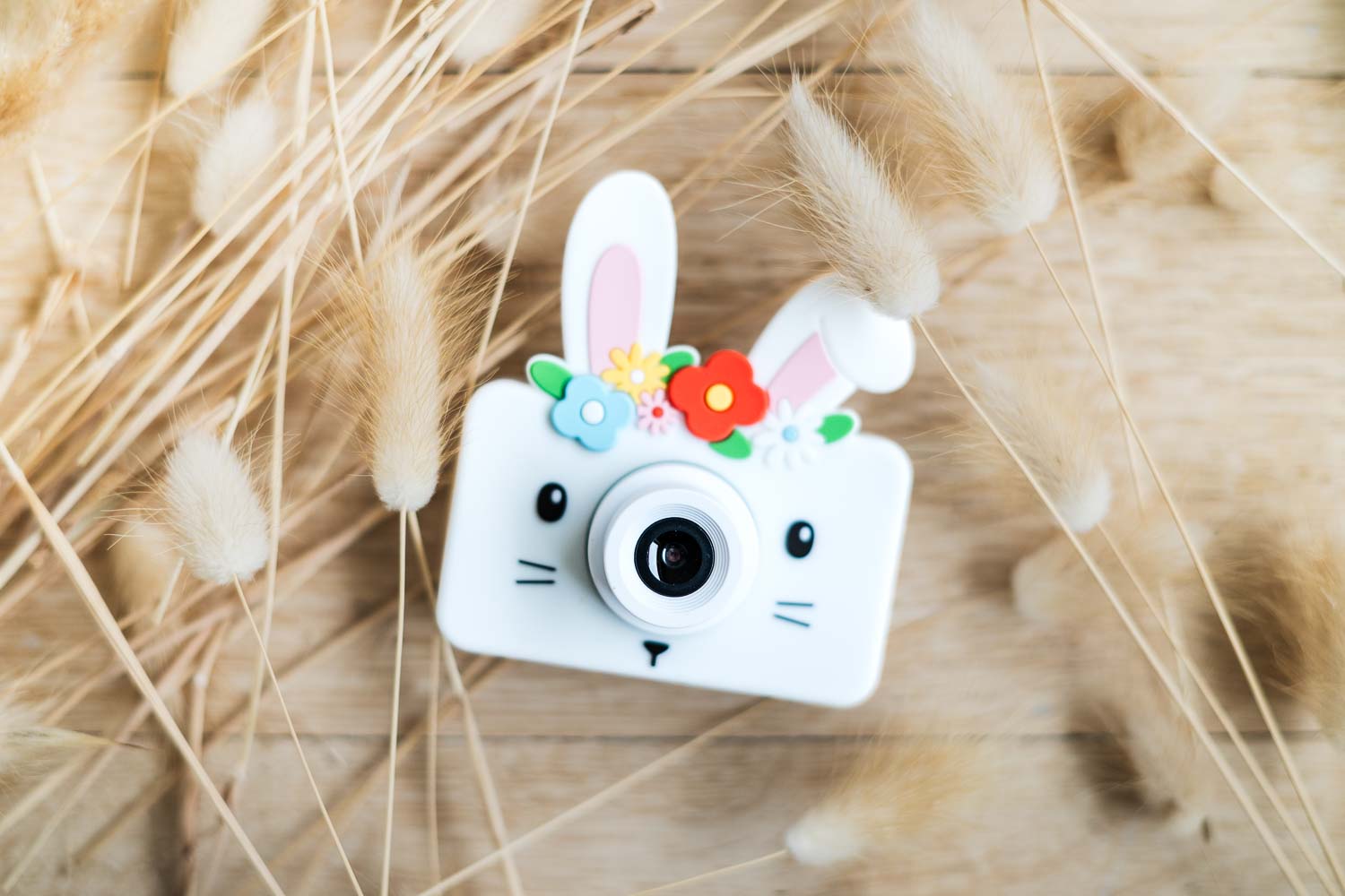 Appareils Photos Lapin – Image 2