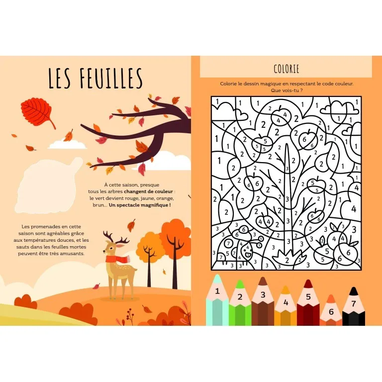 Livres d'activités et Stickers - L'automne – Image 4